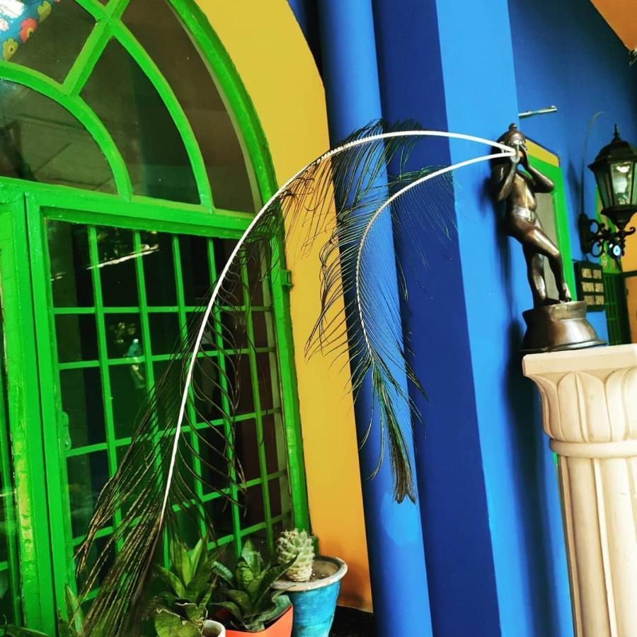 The Coral Tree Boutique Homestay Agra  Ngoại thất bức ảnh